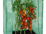 Solar pentru grădină 100 × 50 × 150 cm