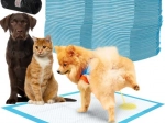 Pernițe igienice de unică folosință pentru animale de companie